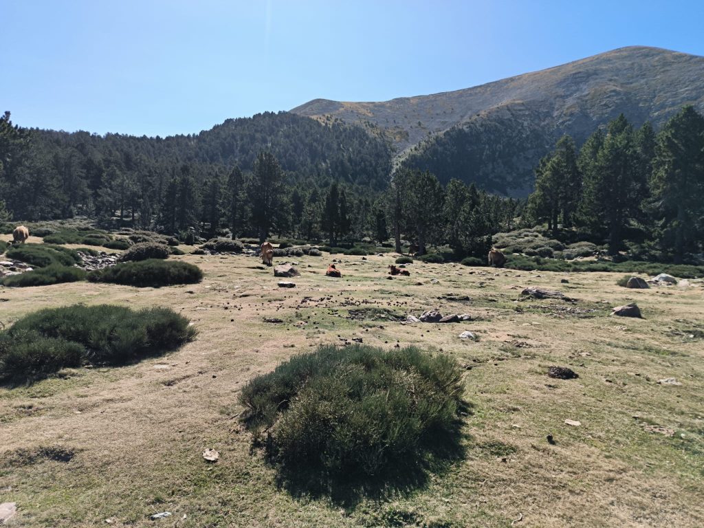 Vue sur le massif du Canigó